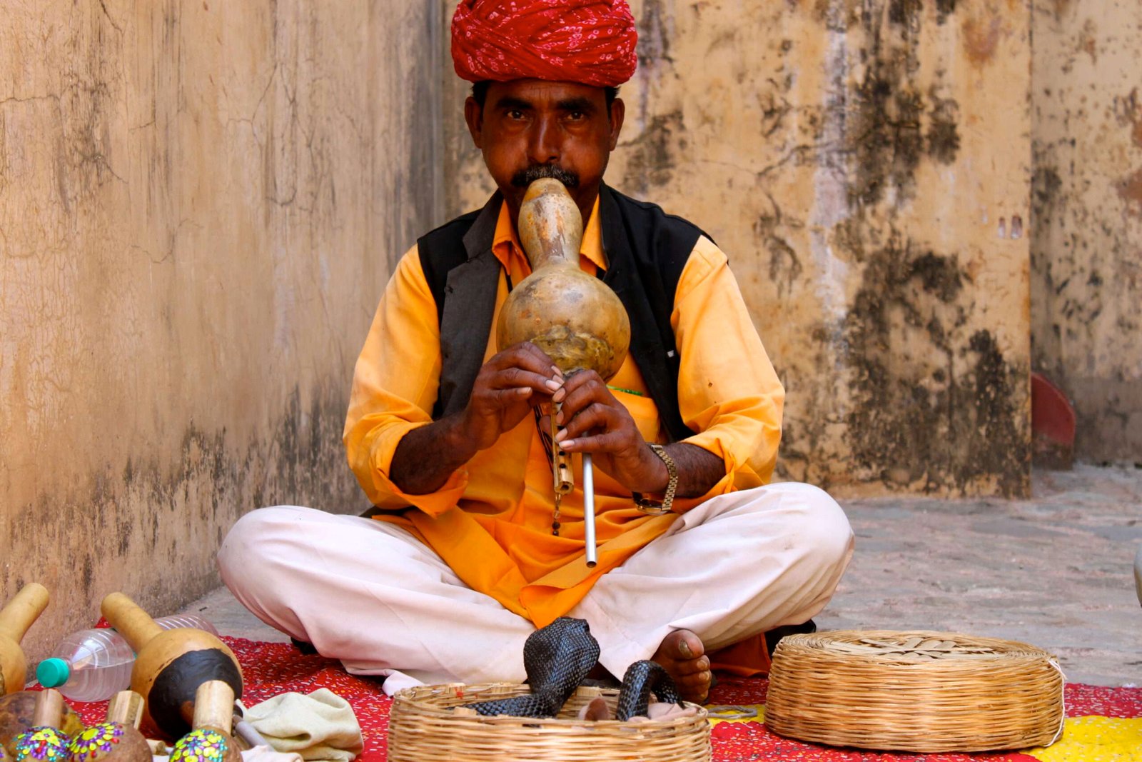 Jaipur snake charmer